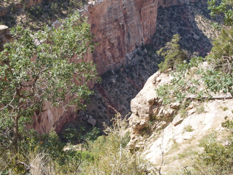 Chasm below Trail