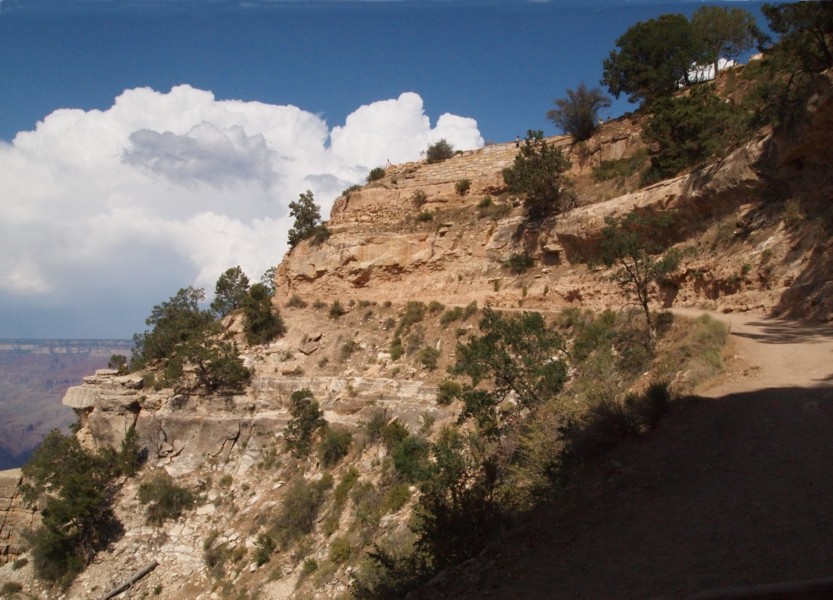 View Back Up the Trail