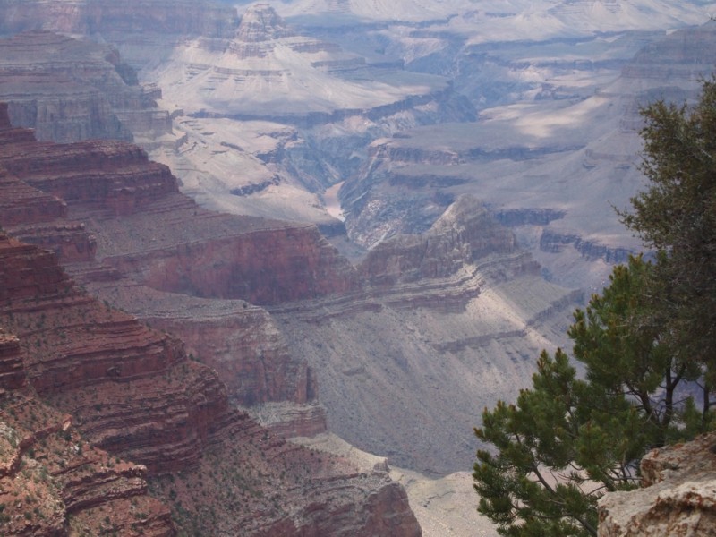 Ridge, River, and Dome Tele