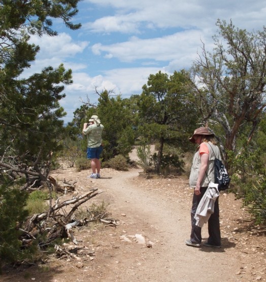 Hiking the Rim Trail - Becky and Louis