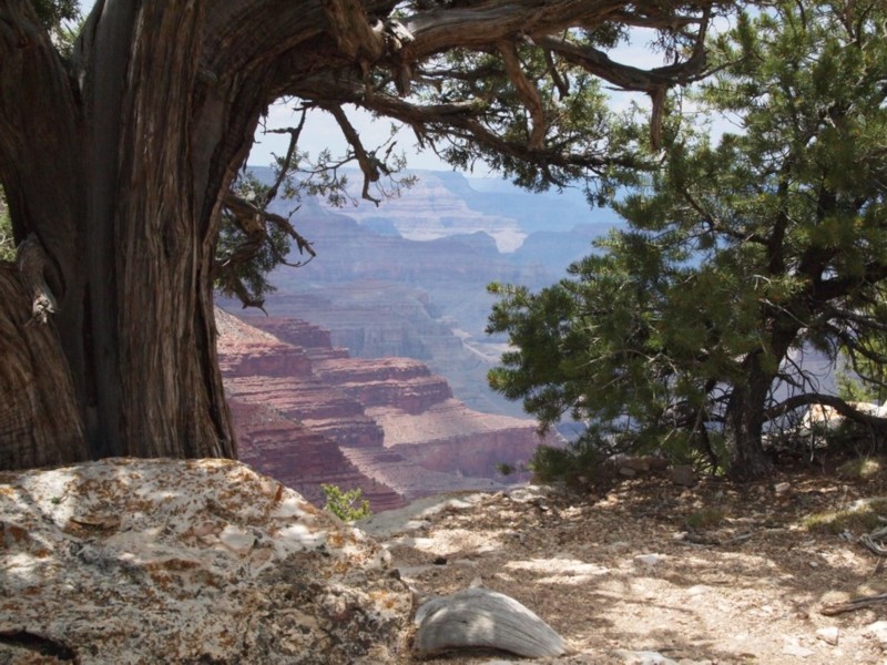 Framing the Canyon View