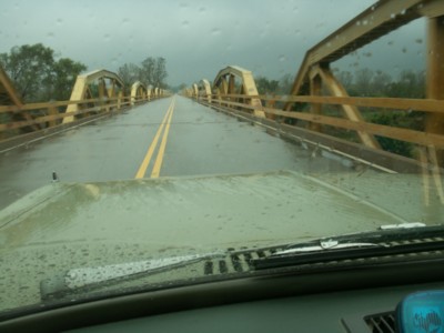 Rainy Bridge