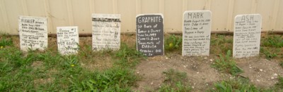 Rabbit Graveyard