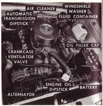 Owner's manual engine compartment image enlarged.