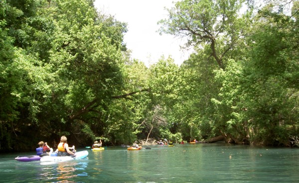 Approaching the big tree