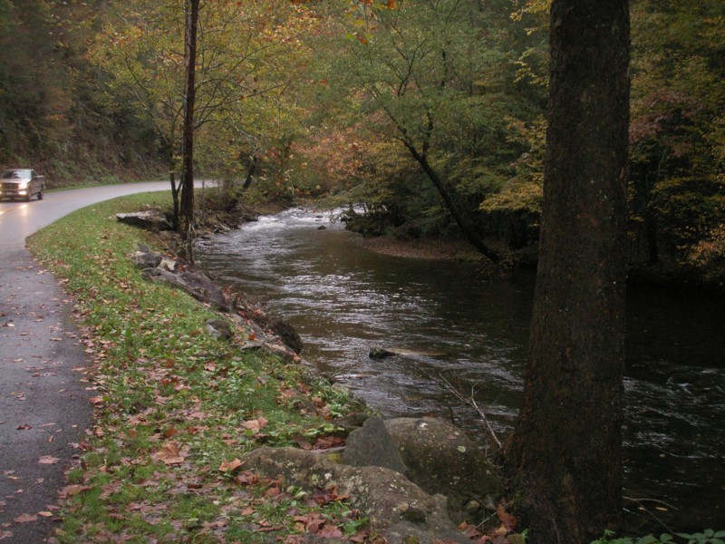 Scene 11