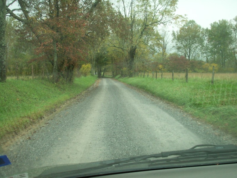 Scene 12