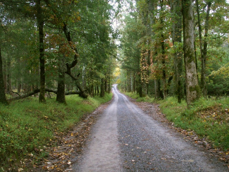 Scene 14