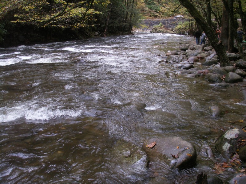 Scene 9