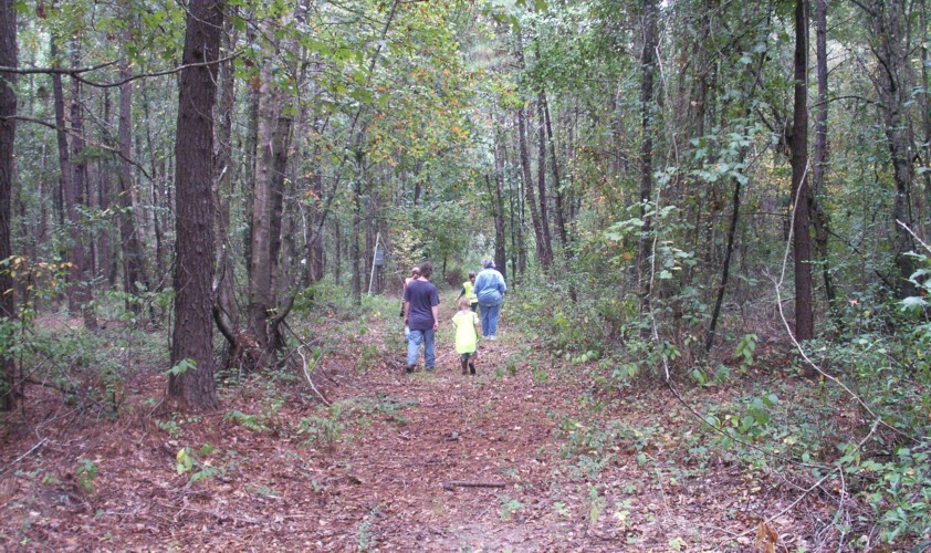 Trail through woods.