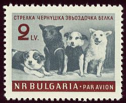Dogs on Postage Stamp